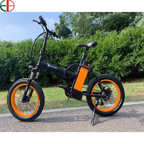 Electric City Folding Bicycle with 36V 250W Motor Warehouse in Europe