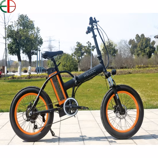 Electric City Folding Bicycle with 36V 250W Motor Warehouse in Europe