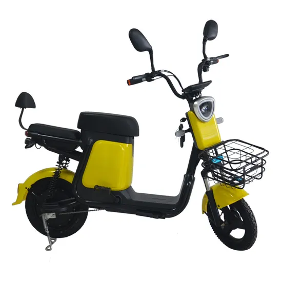 Electric City Folding Bicycle with 36V 250W Motor Warehouse in Europe